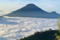 bukit sikunir bukit sikunir